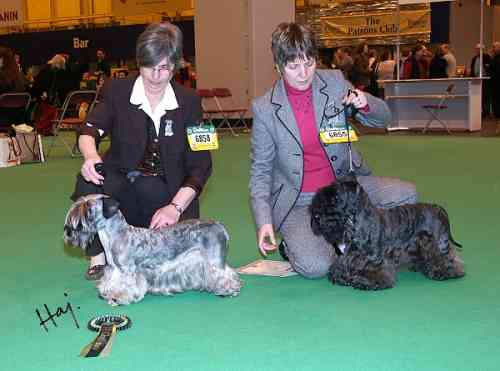 CRRUFT�S WINNER PAJANTICKS CHARZA AT POLEDE ShCM & CH. TCHEKOV II DES HAUTEURS DE LA SOLE