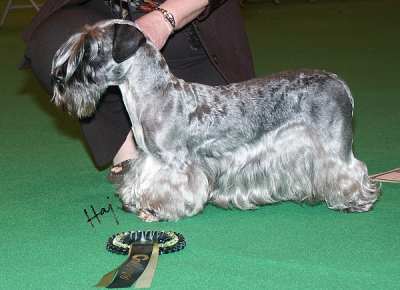 PAJANTICKS CHARZA AT POLEDE