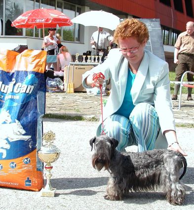 Dalava od Fontanky BOB