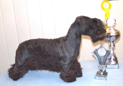 Victoria vom Blockhaus