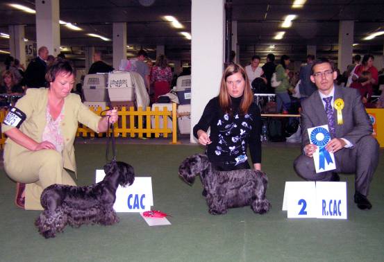 Ywetta Kalifa Bohemica, Magie Zlata Chara