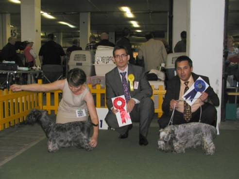 Dion's Bohemian Jazz, Lotus Zlata Chara