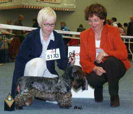 Hermes Monib z Vinohrad